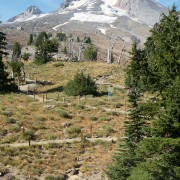 IMG2032.jpg
