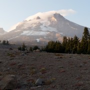 IMG2046.jpg