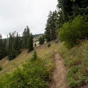 IMG2057.jpg