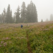 IMG2070.jpg