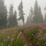 IMG2072.jpg