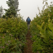 IMG2080.jpg