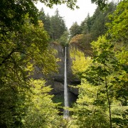IMG2120.jpg