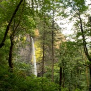 IMG2122.jpg