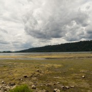 IMG2148.jpg