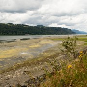 IMG2151.jpg