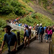 IMG2183.jpg