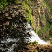 IMG2191.jpg