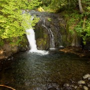 IMG2196.jpg