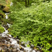 IMG2215.jpg