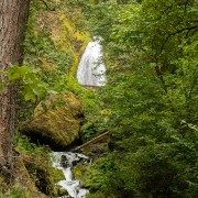 IMG2216.jpg