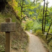 IMG2224.jpg