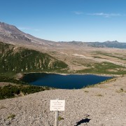 IMG2348.jpg