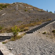 IMG2361.jpg