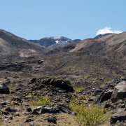 IMG2395.jpg