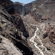 IMG2409.jpg