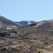 IMG2417.jpg