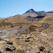 IMG2421.jpg