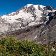 IMG2458.jpg