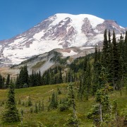 IMG2506.jpg