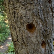IMG2522.jpg