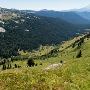 IMG2575.jpg