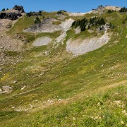 IMG2578.jpg