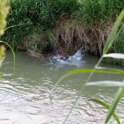 IMG 3803