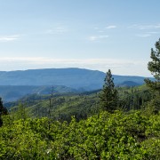IMG 4573