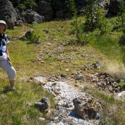 IMG 4779