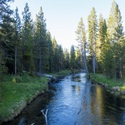 IMG 4853