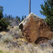 IMG 5939