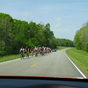 IMG_6353.jpg
