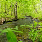 IMG_6374.jpg