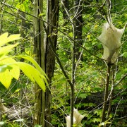 IMG_6385.jpg