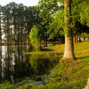 IMG_6432.jpg