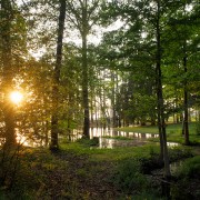 IMG_6433.jpg