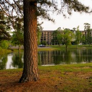 IMG_6434.jpg