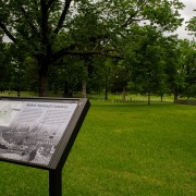 IMG_6458.jpg