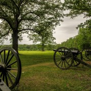 IMG_6485.jpg