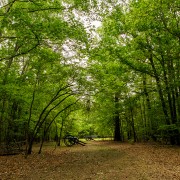 IMG_6492.jpg