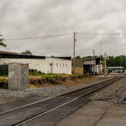 IMG_6530.jpg