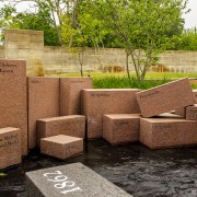 IMG_6535.jpg