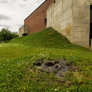IMG_6537.jpg