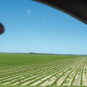 IMG 6678