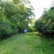 IMG 6736