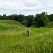 IMG 6746