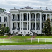 IMG 6942