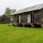 IMG 7004