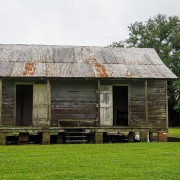 IMG 7005